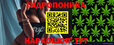 индика Бузулук