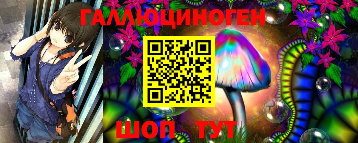 Псилоцибиновые грибы прущие грибы  Вход с VPN  Узловая 